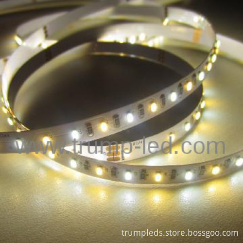 flexible dual white led christmas light